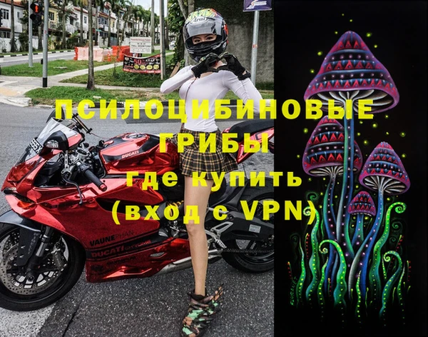 эйфоретик Зерноград